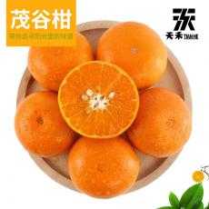 【畔生园果】广西特产新鲜茂谷柑水果 10斤