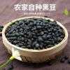【源泉百货】隆安黑豆农家自产 小黑豆非转基因乌豆黑大豆绿色食品500g
