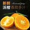 【民赢柑橘】皇帝柑橘子新鲜中大果水果带箱10斤当季蜜橘桔子贡柑沃柑