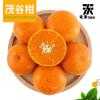 【畔生园果】广西特产新鲜茂谷柑水果 10斤