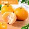 【桂洁农业】广西新鲜水果茂谷柑10斤带箱包邮