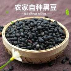 【花吴百货】隆安黑豆农家自产 小黑豆非转基因乌豆黑大豆绿色食品500g