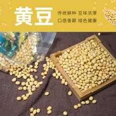 【中国邮政】隆安农家自种小土黄豆非转基因可发豆芽 500g